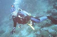 robert reil scuba diving in the philippines